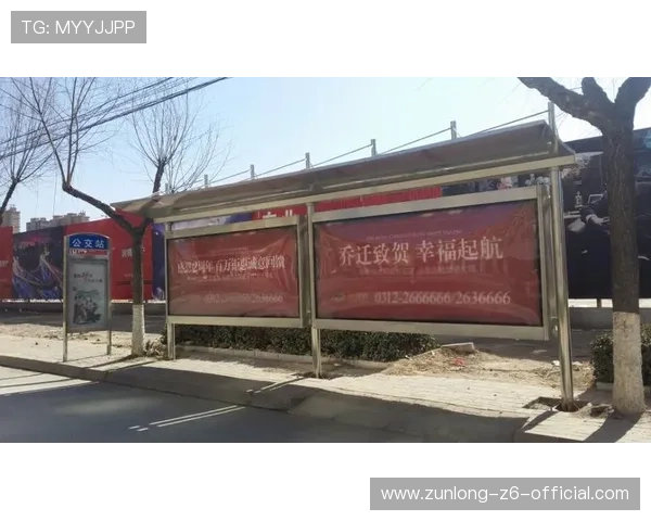 尊龙d88：尊龙d88平台的安全性与用户体验分析