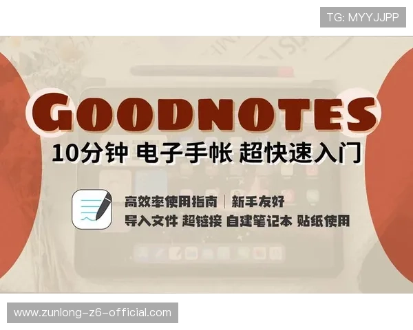 尊龙凯时首页新手攻略指南帮助新手快速上手游戏技巧与玩法介绍